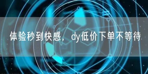 体验秒到快感，dy低价下单不等待