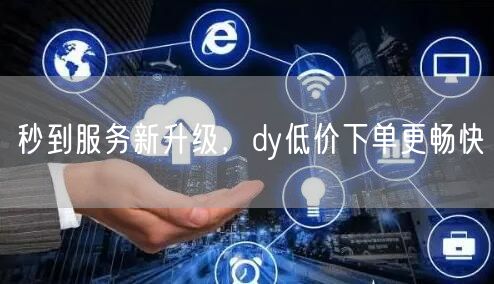 秒到服务新升级，dy低价下单更畅快