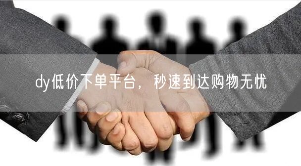 dy低价下单平台，秒速到达购物无忧