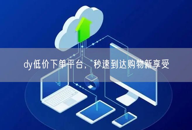 dy低价下单平台，秒速到达购物新享受