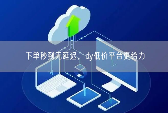下单秒到无延迟，dy低价平台更给力