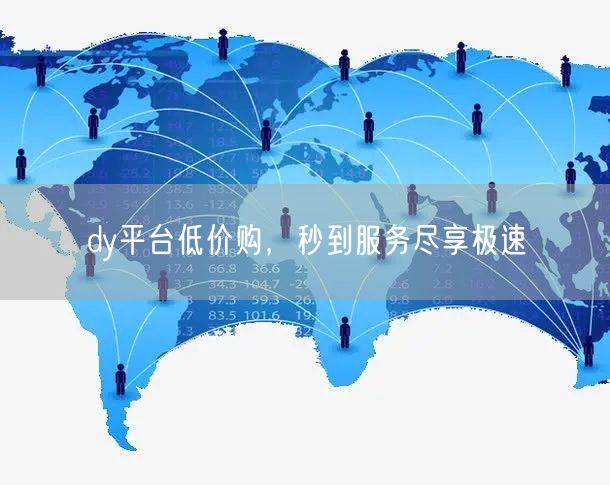 dy平台低价购，秒到服务尽享极速