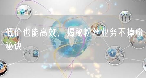低价也能高效，揭秘粉丝业务不掉粉秘诀