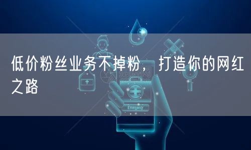 低价粉丝业务不掉粉，打造你的网红之路