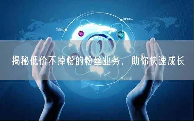 揭秘低价不掉粉的粉丝业务，助你快速成长