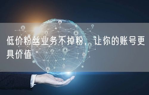 低价粉丝业务不掉粉，让你的账号更具价值
