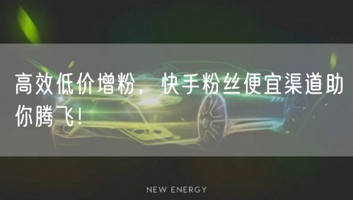 高效低价增粉，快手粉丝便宜渠道助你腾飞！