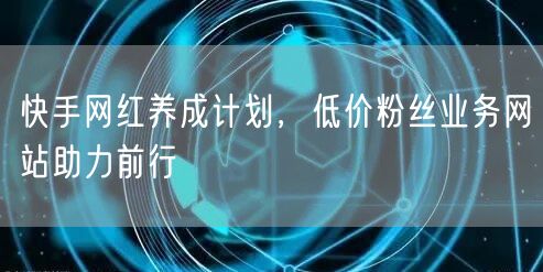 快手网红养成计划，低价粉丝业务网站助力前行