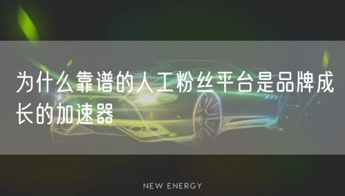 为什么靠谱的人工粉丝平台是品牌成长的加速器
