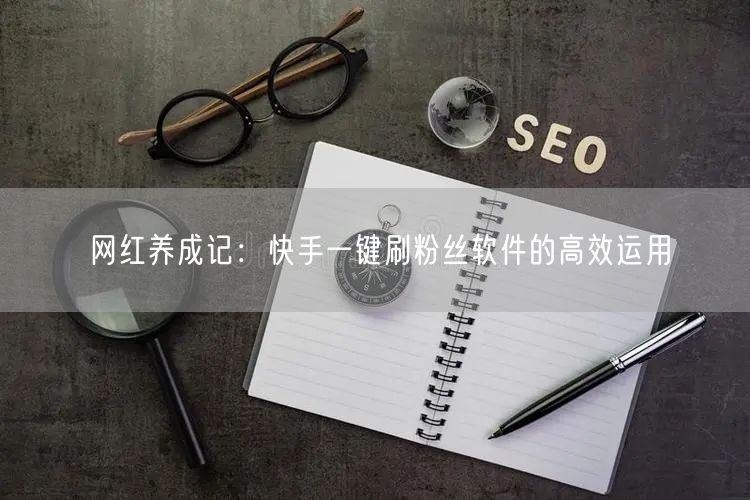 网红养成记：快手一键刷粉丝软件的高效运用