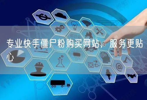 专业快手僵尸粉购买网站，服务更贴心