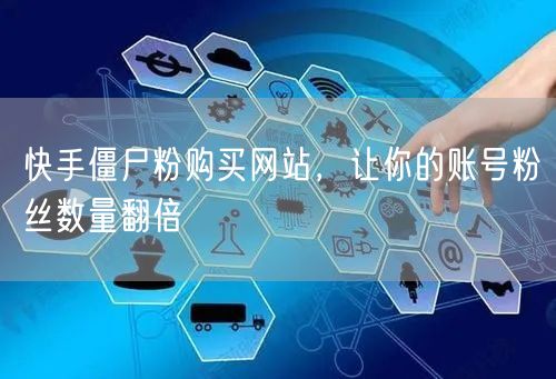 快手僵尸粉购买网站，让你的账号粉丝数量翻倍