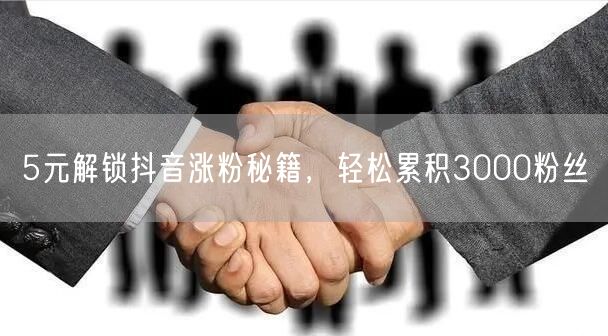 5元解锁抖音涨粉秘籍，轻松累积3000粉丝