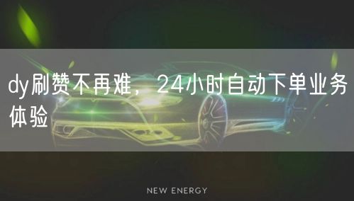 dy刷赞不再难，24小时自动下单业务体验