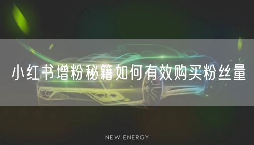 小红书增粉秘籍如何有效购买粉丝量