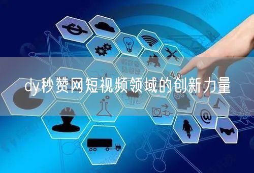 dy秒赞网短视频领域的创新力量