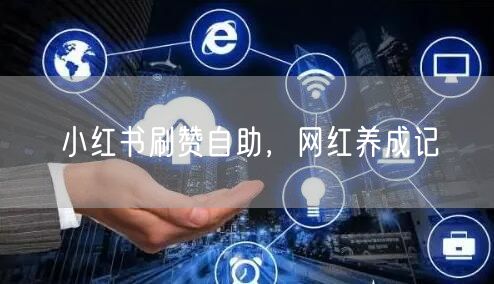 小红书刷赞自助，网红养成记