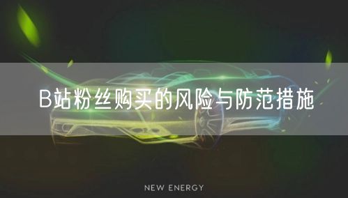 B站粉丝购买的风险与防范措施