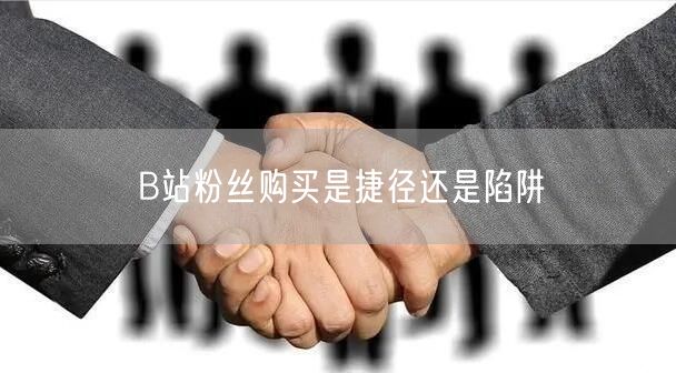 B站粉丝购买是捷径还是陷阱