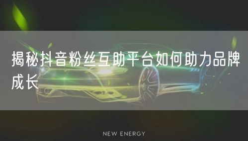 揭秘抖音粉丝互助平台如何助力品牌成长