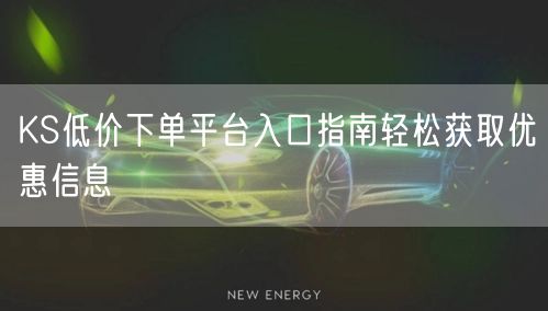 KS低价下单平台入口指南轻松获取优惠信息