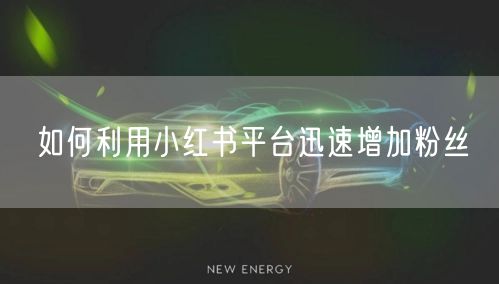 如何利用小红书平台迅速增加粉丝