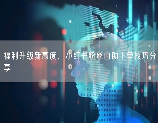 福利升级新高度，小红书粉丝自助下单技巧分享
