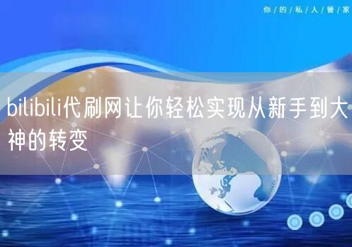 bilibili代刷网让你轻松实现从新手到大神的转变