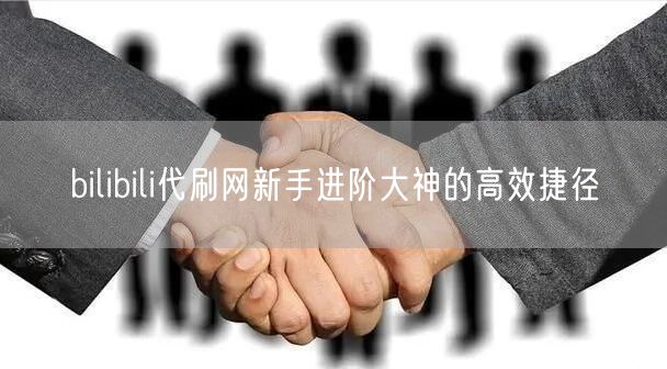 bilibili代刷网新手进阶大神的高效捷径