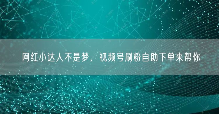 网红小达人不是梦，视频号刷粉自助下单来帮你