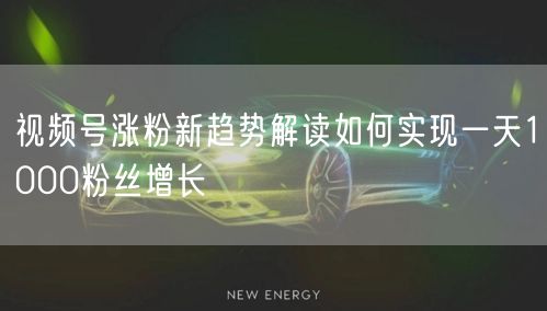 视频号涨粉新趋势解读如何实现一天1000粉丝增长