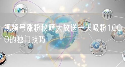 视频号涨粉秘籍大放送一天吸粉1000的独门技巧
