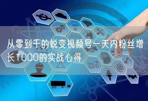 从零到千的蜕变视频号一天内粉丝增长1000的实战心得