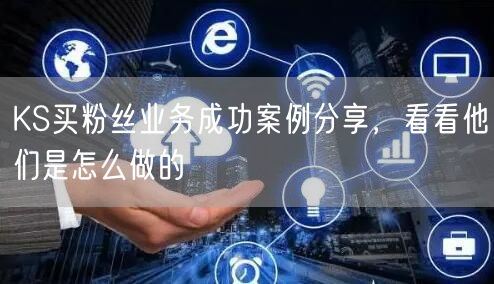 KS买粉丝业务成功案例分享，看看他们是怎么做的