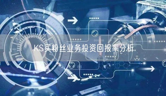 KS买粉丝业务投资回报率分析