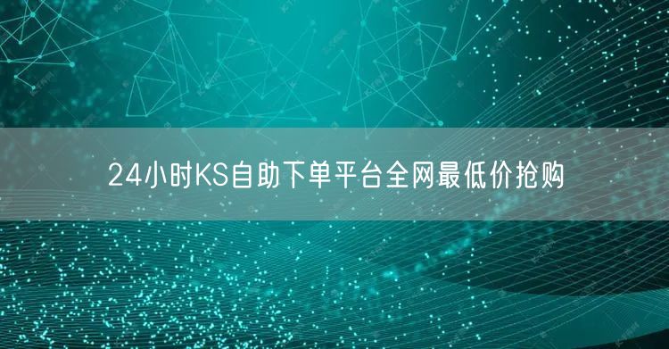 24小时KS自助下单平台全网最低价抢购
