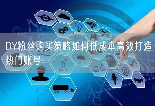 DY粉丝购买策略如何低成本高效打造热门账号