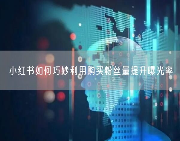 小红书如何巧妙利用购买粉丝量提升曝光率