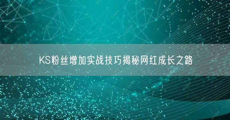 KS粉丝增加实战技巧揭秘网红成长之路