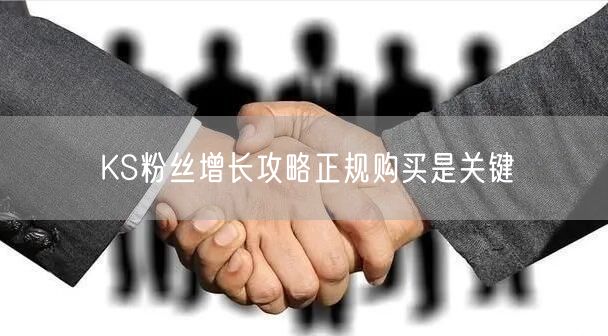 KS粉丝增长攻略正规购买是关键