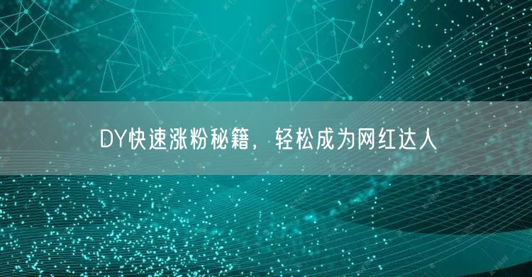 DY快速涨粉秘籍，轻松成为网红达人