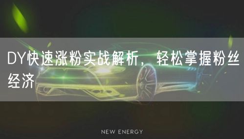 DY快速涨粉实战解析，轻松掌握粉丝经济