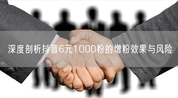 深度剖析抖音6元1000粉的增粉效果与风险