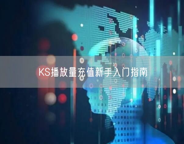 KS播放量充值新手入门指南