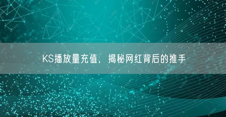 KS播放量充值，揭秘网红背后的推手