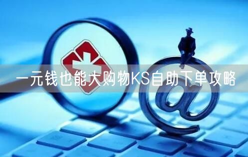 一元钱也能大购物KS自助下单攻略