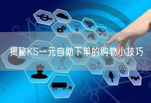 揭秘KS一元自助下单的购物小技巧