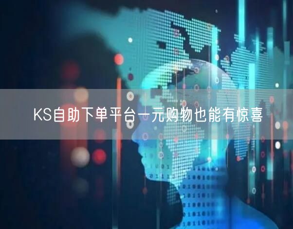 KS自助下单平台一元购物也能有惊喜