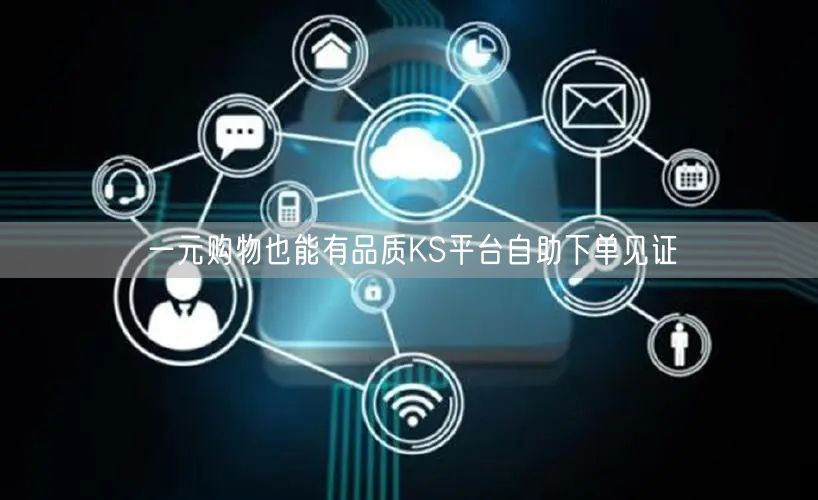 一元购物也能有品质KS平台自助下单见证