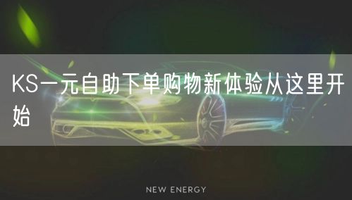 KS一元自助下单购物新体验从这里开始